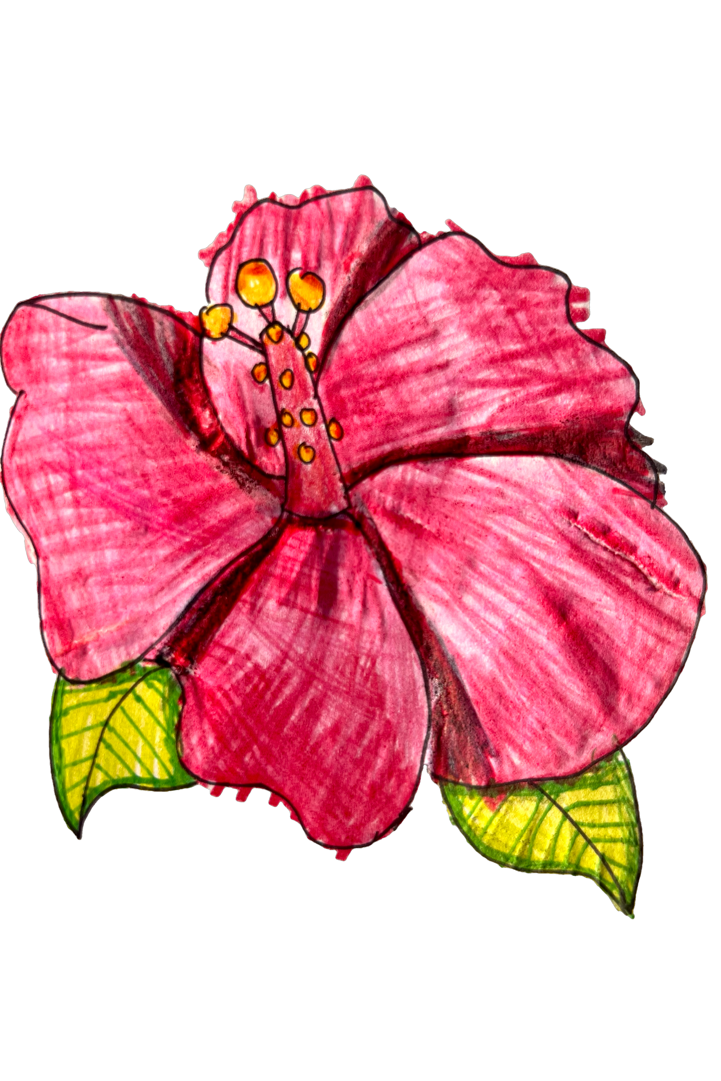 Hibiscus Greeting Card