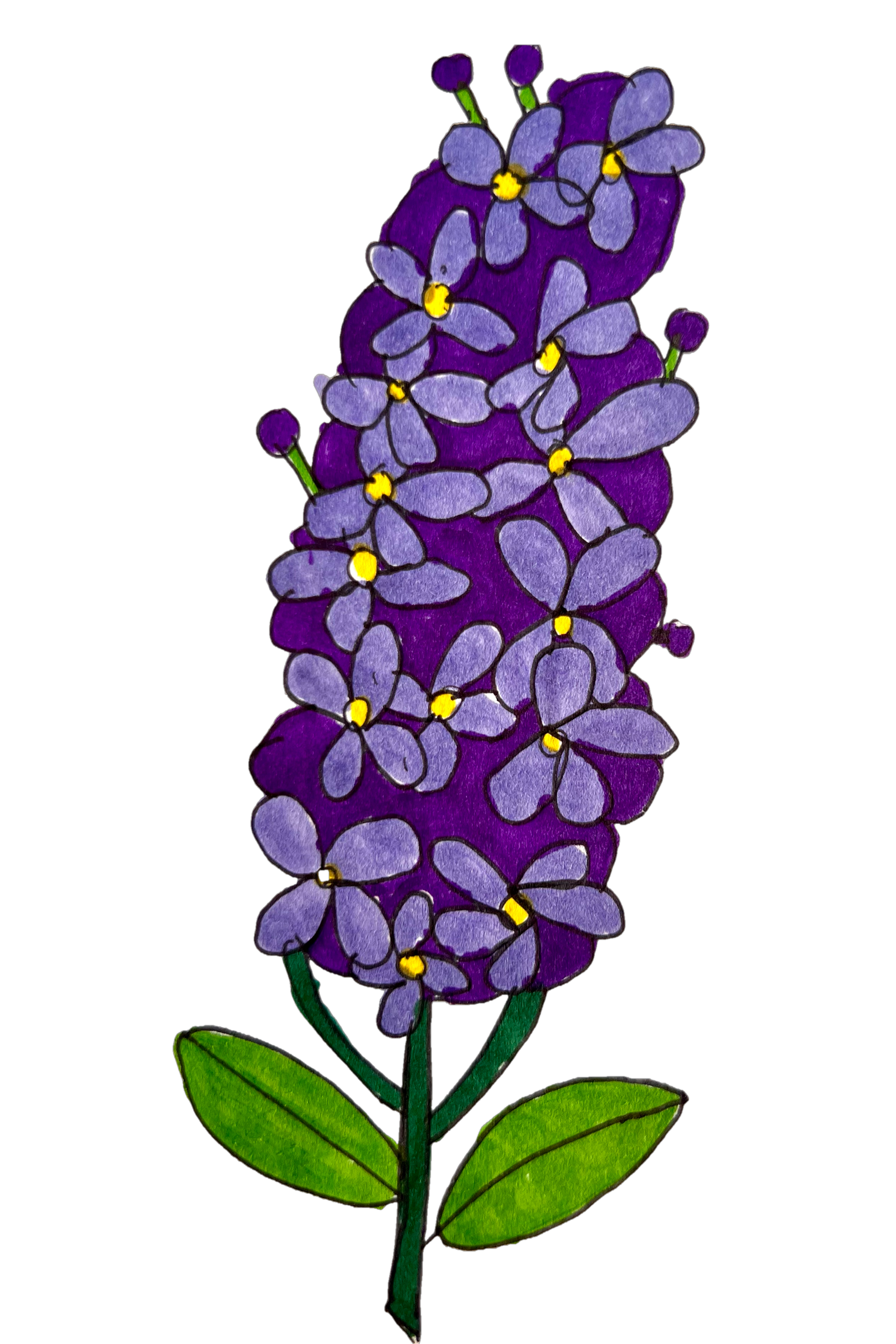 Lilac Greeting Card