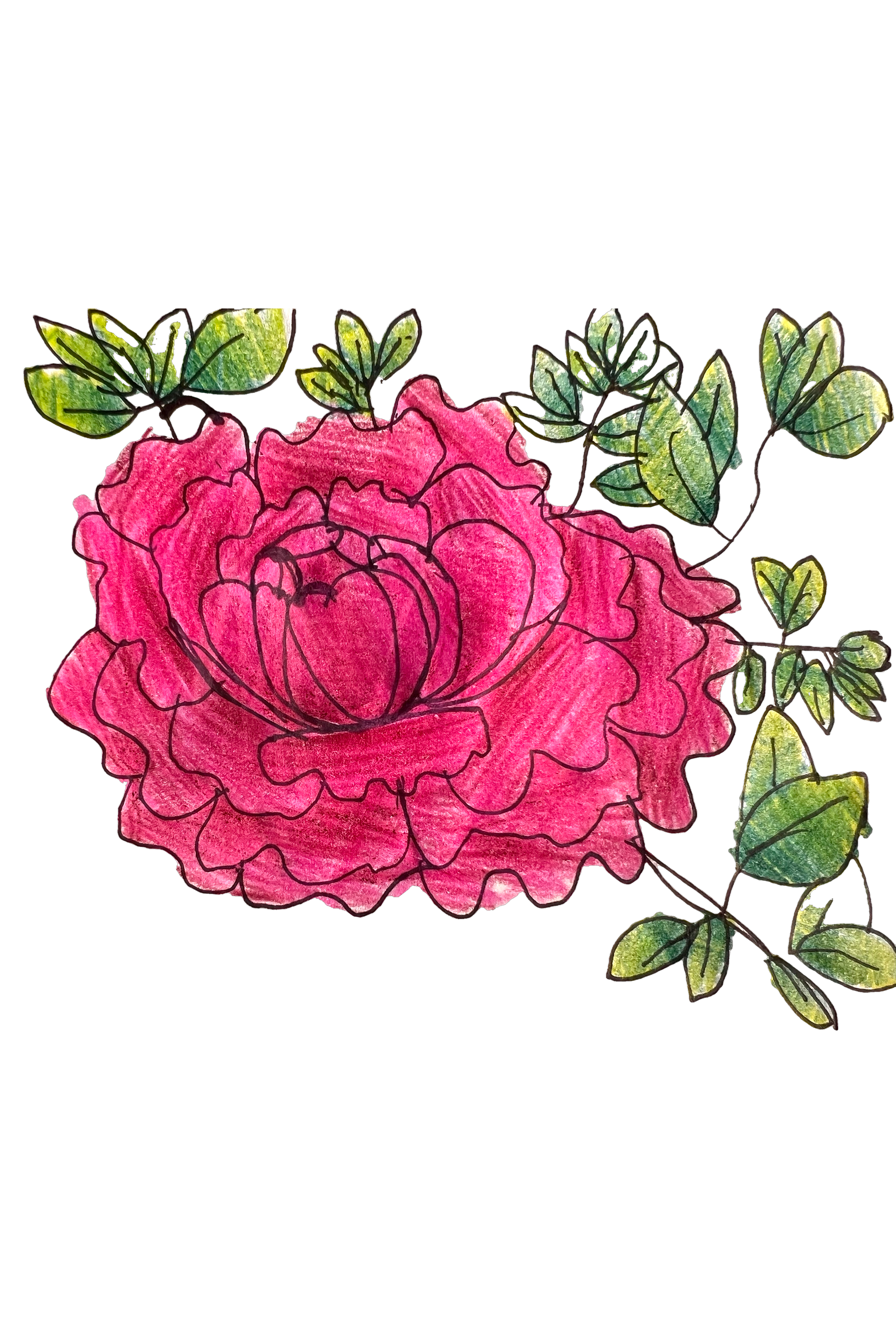 Peony Greeting Card